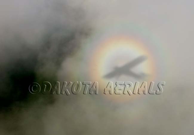 Flying with Angels angels